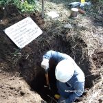 Captación de Suelo - Pronaca III