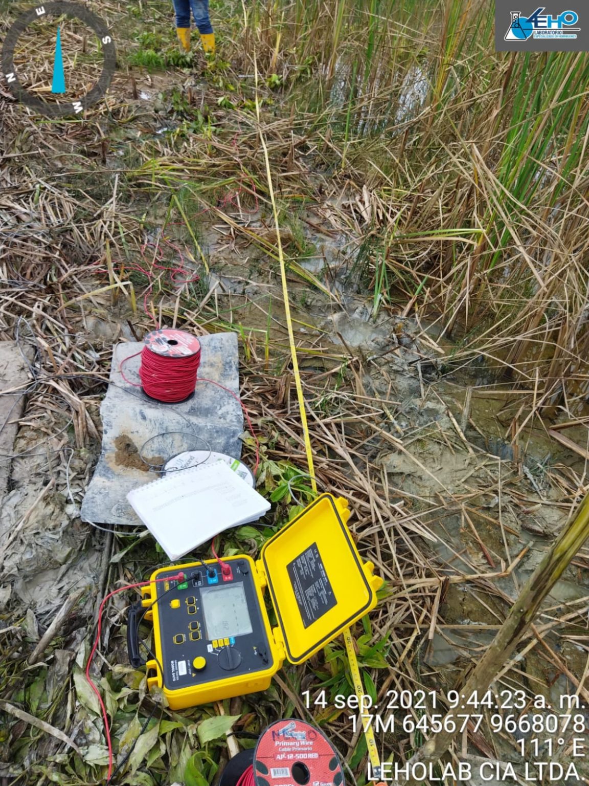 WhatsApp Image 2024-08-12 at 12.07.03 PM