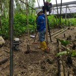 WhatsApp Image 2025-02-11 at 11.50.39 AM