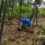 WhatsApp Image 2025-02-11 at 11.50.44 AM