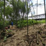 WhatsApp Image 2025-02-11 at 11.50.51 AM