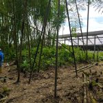 WhatsApp Image 2025-02-11 at 11.50.56 AM