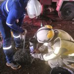 WhatsApp Image 2025-05-09 at 12.37.54 PM(3)