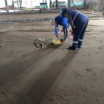 WhatsApp Image 2025-05-13 at 11.54.08 AM(2)