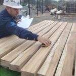 RECUBIRMIENTO DE PINTURA II